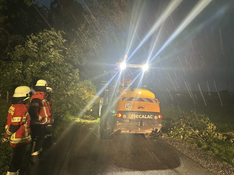 Baum auf Fahrbahn