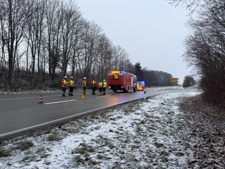 Verkehrslenkung