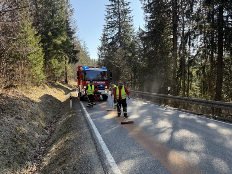 Straße reinigen