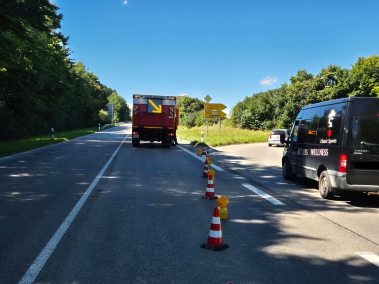 Verkehrslenkung