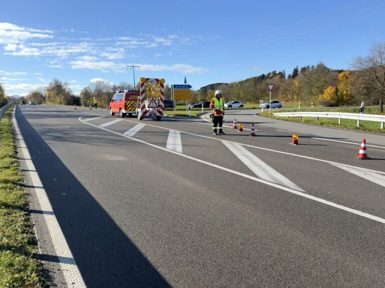 Verkehrslenkung