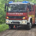 Baum auf Fahrbahn