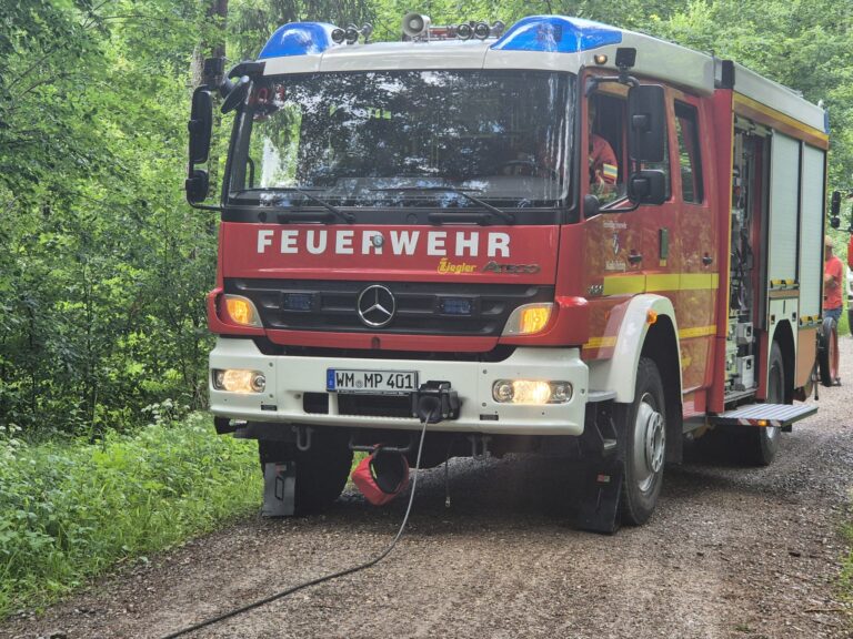Baum auf Fahrbahn